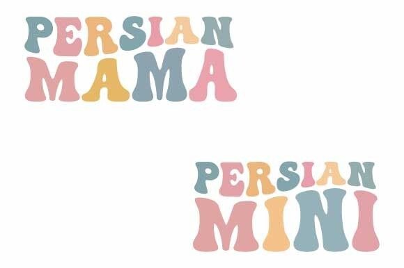 Retro Persian Mama Mini Mothers Day Svg Review